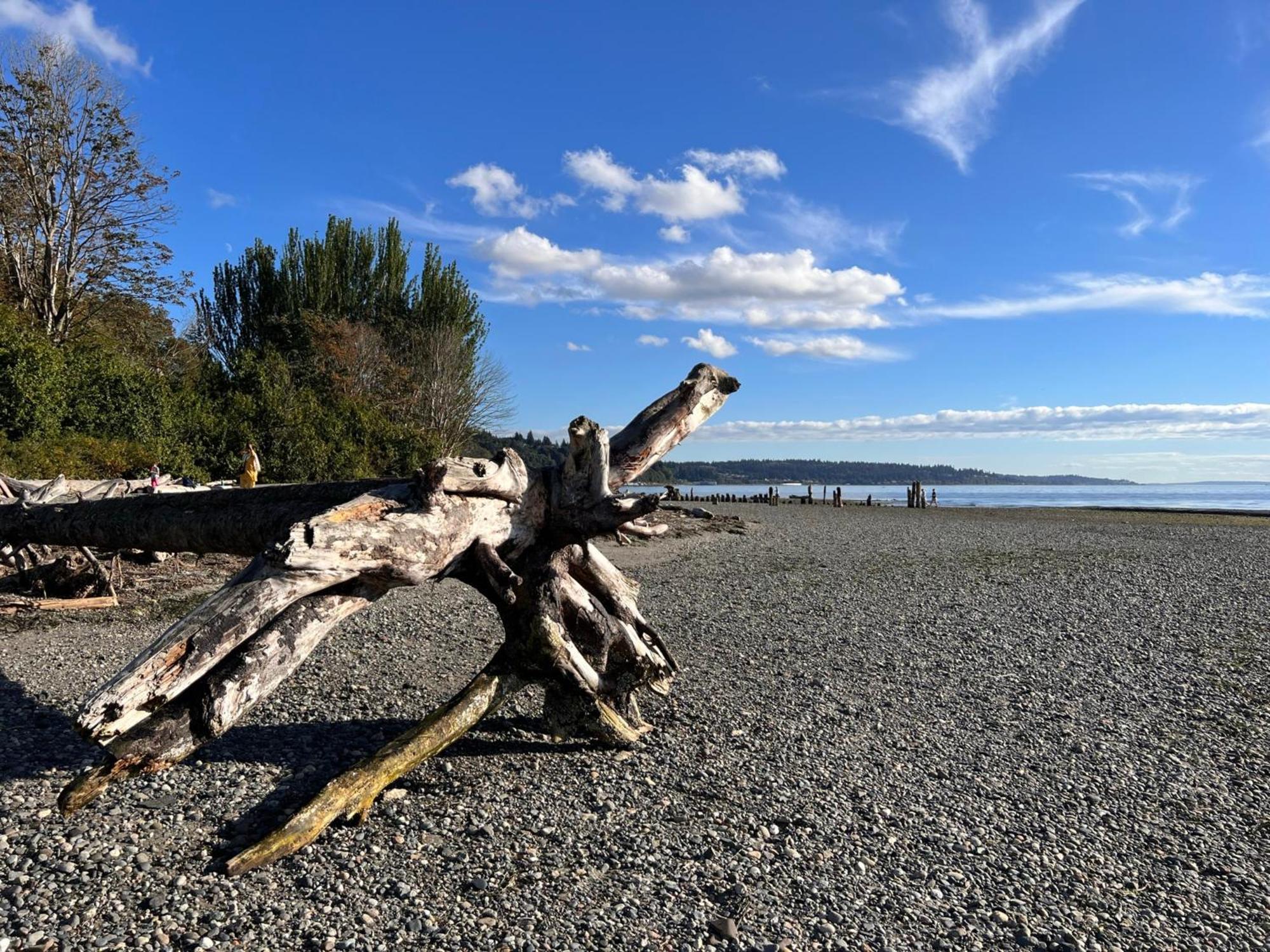 Stunning House With Views Of Puget Sound! Ideal For Family Reunions Edmonds Exteriér fotografie